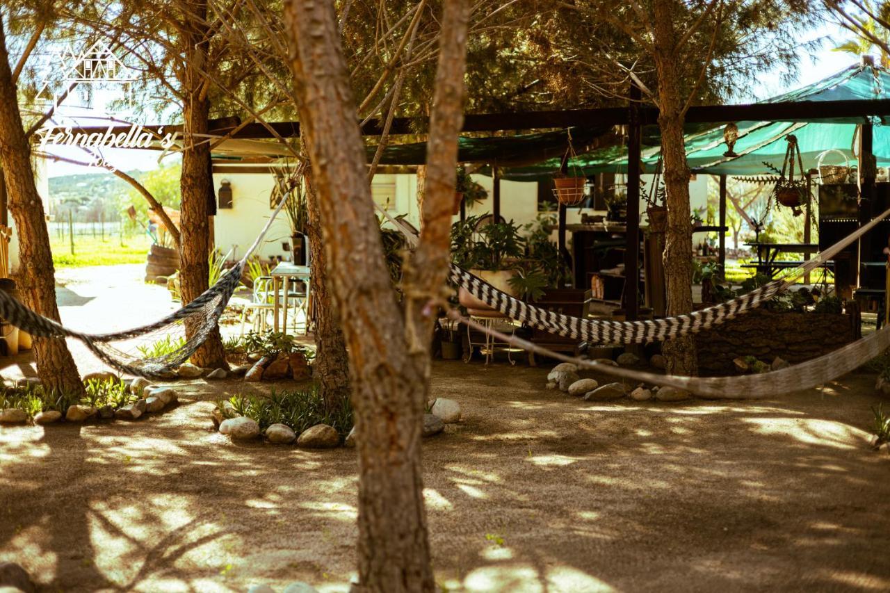 Fernabella'S Lodge Valle de Guadalupe Extérieur photo