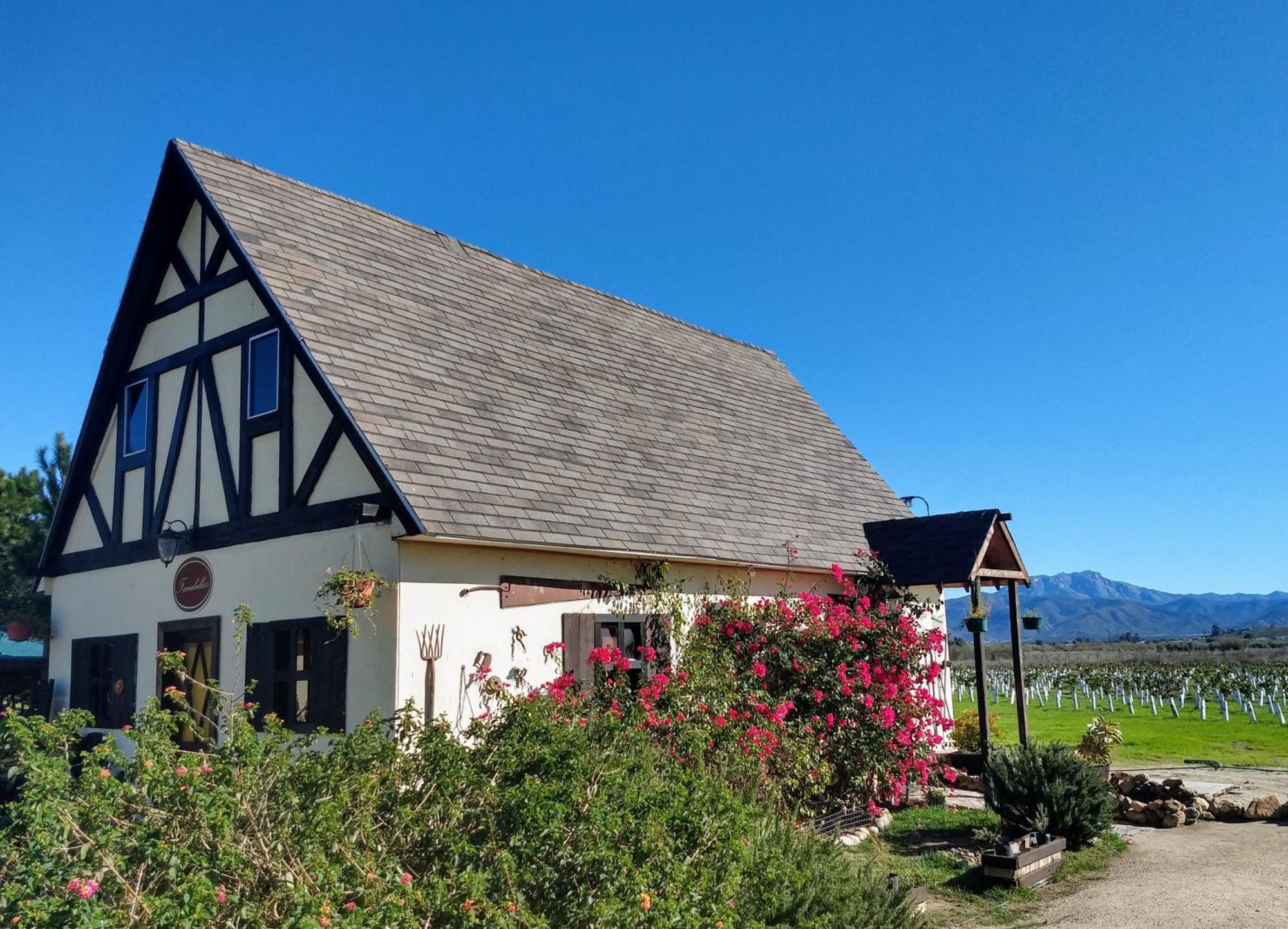 Fernabella'S Lodge Valle de Guadalupe Chambre photo